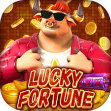 hora boa para jogar fortune tiger ícone